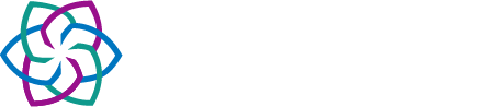 Cybersolvo